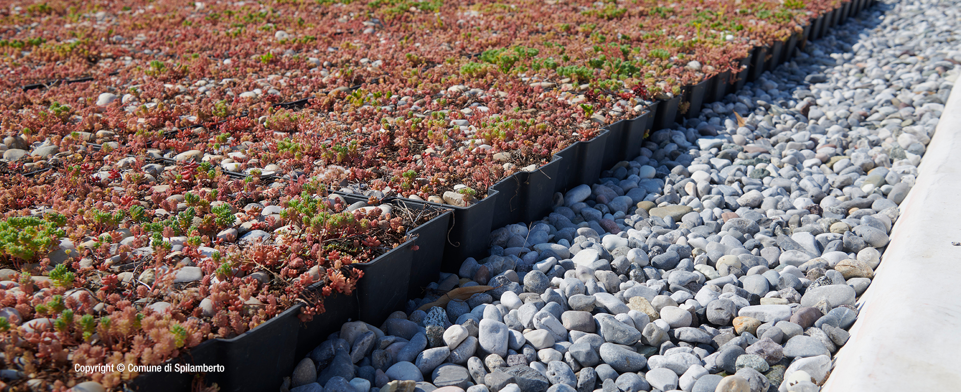 École maternelle, Spilamberto, Italie 6